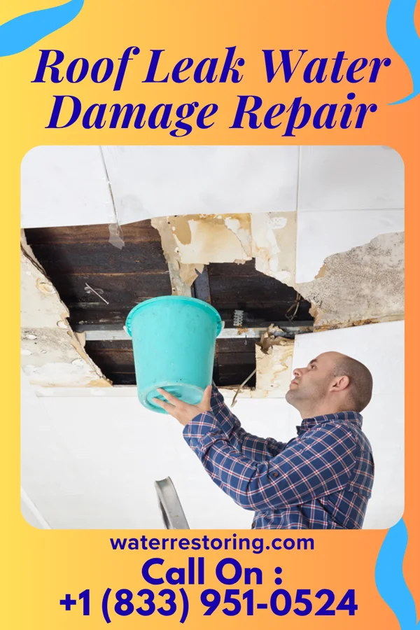 Roof Leak Water Damage Repair in Bourbonnais, IL