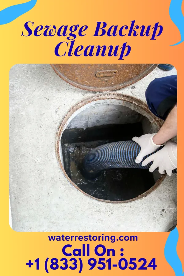 Sewage Backup Cleanup in Bourbonnais, IL