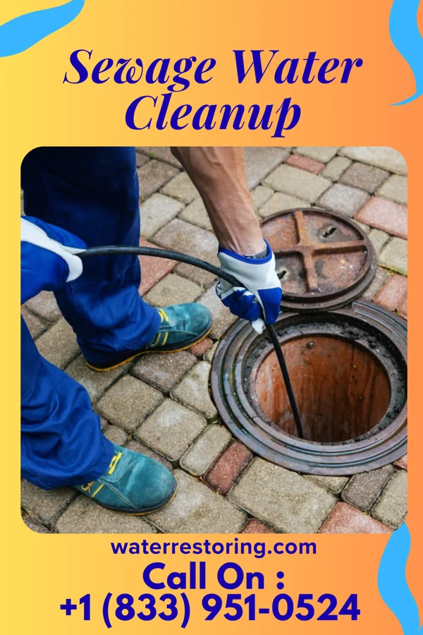 Sewage Water Cleanup in Bourbonnais, IL